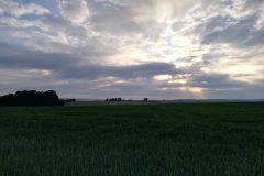 Morgenstimmung bei Frontenhausen