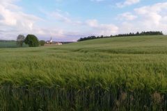 Pfarrkirche St. Corona in Altenkirchen