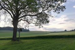 Feldkreuz bei Wachlkofen